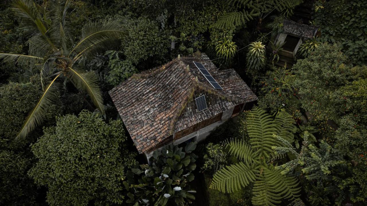 Kebun Kita Eco Lodge Padangan (Bali) Exterior foto