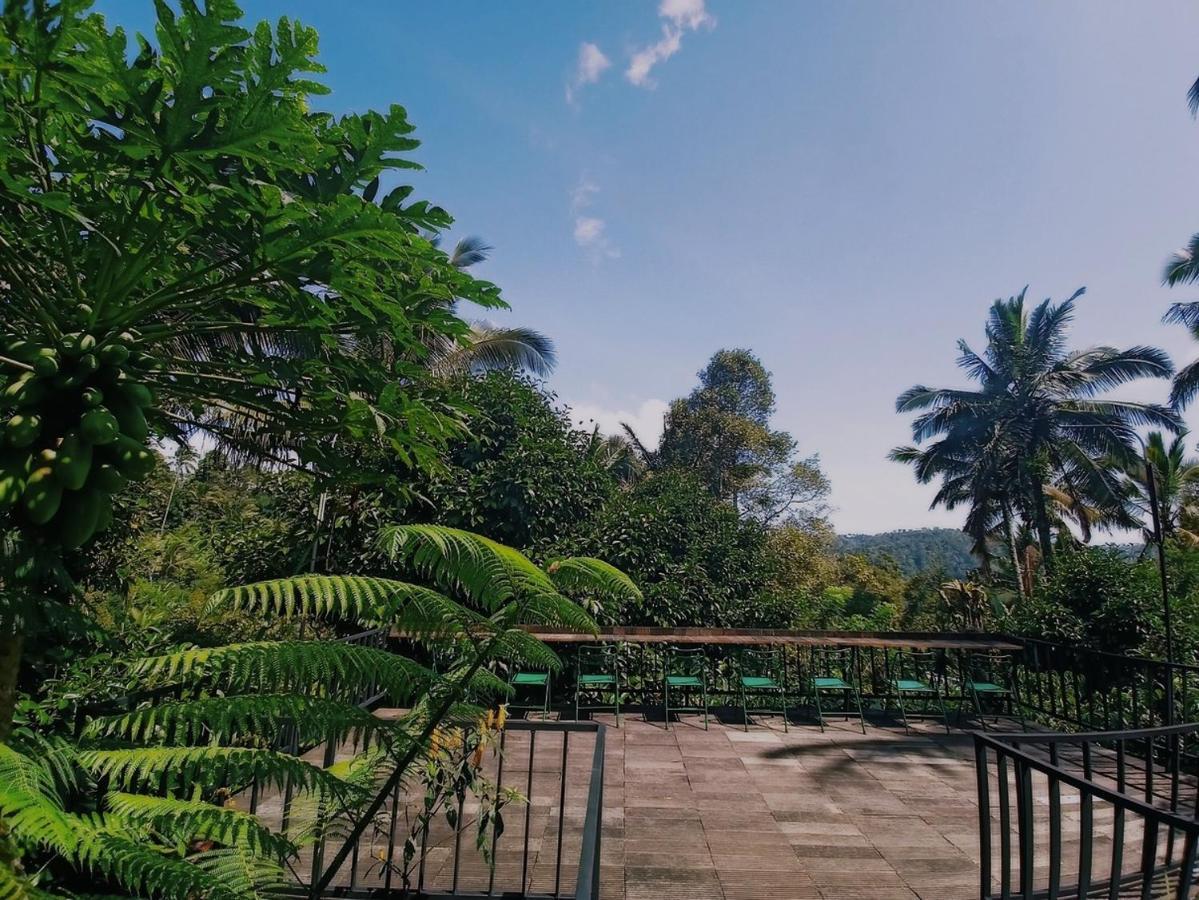 Kebun Kita Eco Lodge Padangan (Bali) Exterior foto
