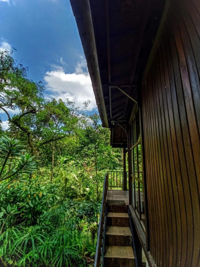 Kebun Kita Eco Lodge Padangan (Bali) Exterior foto