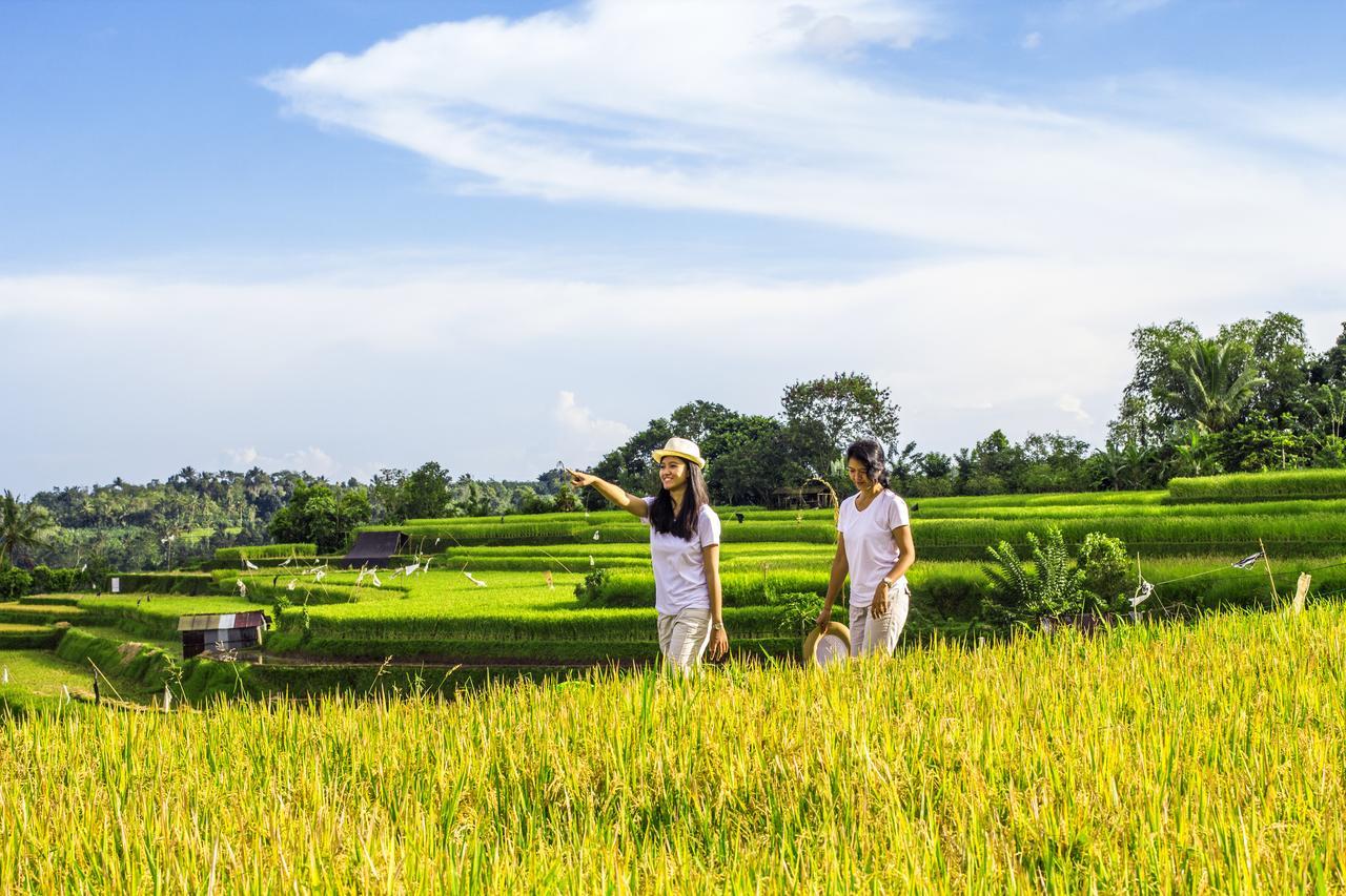 Kebun Kita Eco Lodge Padangan (Bali) Exterior foto